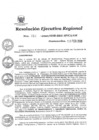 Vista preliminar de documento 1379082_RER-052-2020