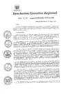 Vista preliminar de documento 3877661_RER-115-20