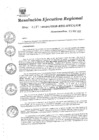 Vista preliminar de documento 1815173_RER-131-20