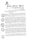 Vista preliminar de documento 4302973_RER-153-20
