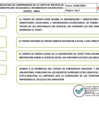 Vista preliminar de documento ANEXO1-INFORME 175-2020 CARTA DE SERVICIO_SOVIO_ABRIL_2020