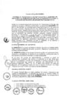 Vista preliminar de documento 2013