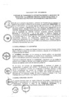 Vista preliminar de documento 2013