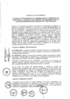 Vista preliminar de documento 2013