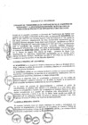 Vista preliminar de documento 2013