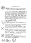 Vista preliminar de documento 2013