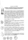 Vista preliminar de documento 2013