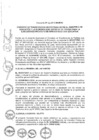 Vista preliminar de documento 2013