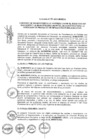 Vista preliminar de documento 2013