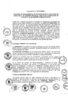 Vista preliminar de documento 2013
