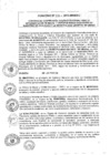 Vista preliminar de documento 2013