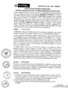Vista preliminar de documento 2013