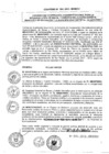 Vista preliminar de documento 2013