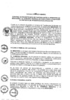 Vista preliminar de documento 2013