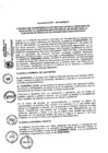 Vista preliminar de documento 2013