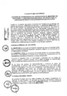 Vista preliminar de documento 2013