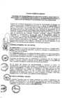 Vista preliminar de documento 2013