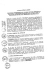 Vista preliminar de documento 2013