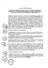 Vista preliminar de documento 2013