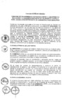 Vista preliminar de documento 2013