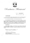 Vista preliminar de documento R. M. N° 133 - 2020