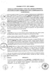 Vista preliminar de documento 2013