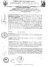 Vista preliminar de documento 2013