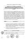 Vista preliminar de documento 2013