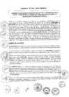 Vista preliminar de documento 2013