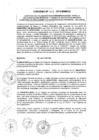 Vista preliminar de documento 2013