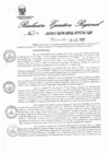 Vista preliminar de documento 3438630_RER-204-20