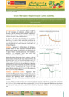 Vista preliminar de documento Boletín de Abastecimiento y Precios Mayoristas GMML y MM Nº2 -17/07/20