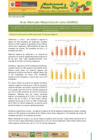 Vista preliminar de documento Boletín de Abastecimiento y Precios Mayoristas GMML y MM Nº2 -20/07/20