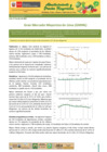 Vista preliminar de documento Boletín de Abastecimiento y Precios Mayoristas GMML y MM Nº2 -21/07/20