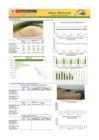 Vista preliminar de documento Boletín de ARROZ - 16/07/20