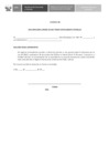 Vista preliminar de documento Anexo 04 - Declaraciones juradas_10
