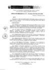 Vista preliminar de documento RD 104-2019-DE-UE005-PENL-VMPCICMC