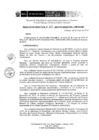 Vista preliminar de documento RD 107-2019-DE-UE005-PENL-VMPCICMC