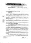 Vista preliminar de documento RD 117-2019-DE-UE005-PENL-VMPCICMC