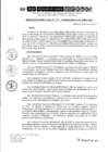 Vista preliminar de documento RD 115-2019-DE-UE005-PENL-VMPCICMC