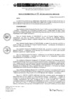 Vista preliminar de documento RD 125-2019-DE-UE005-PENL-VMPCICMC