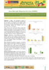 Vista preliminar de documento Boletín de Abastecimiento y Precios Mayoristas GMML y MM Nº2 -22/07/20