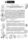 Vista preliminar de documento 2015
