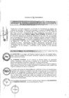 Vista preliminar de documento 2015