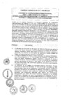 Vista preliminar de documento 2015
