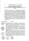 Vista preliminar de documento 2015