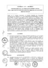 Vista preliminar de documento 2015