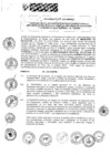 Vista preliminar de documento 2015