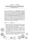 Vista preliminar de documento 2015