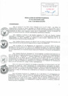 Vista preliminar de documento RS-041-2015
